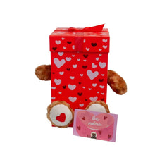 Load image into Gallery viewer, Mr Boo Teddy bear in a box
